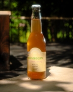Kombucha Kwiat Lipy 330ml