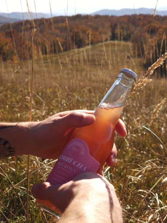 Kombucha w Bieszczadach