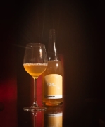 Kombucha Kwiat Lipy Glow