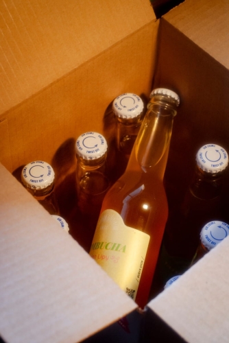 Kombucha Kwiat Lipy Paczka.jpg