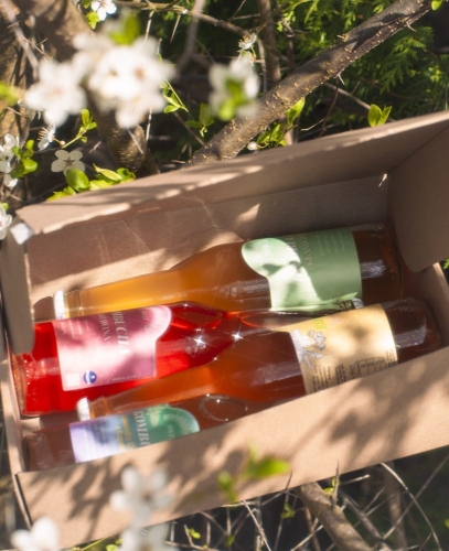 box degustacyjny kombucha.jpg