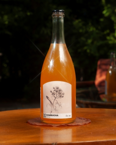 Kombucha Kwiat Lipy 750ml