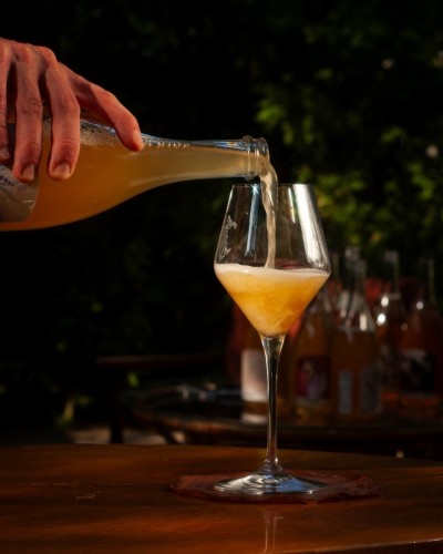Kombucha Lawendowa kieliszek