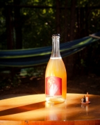 Kombucha Klasyczna Etykieta.jpg
