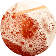 Najlepsza kombucha