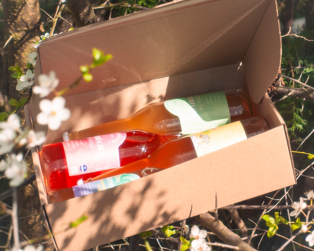box degustacyjny z kombuchą
